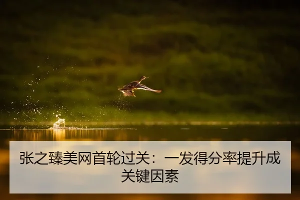 张之臻美网首轮过关：一发得分率提升成关键因素
