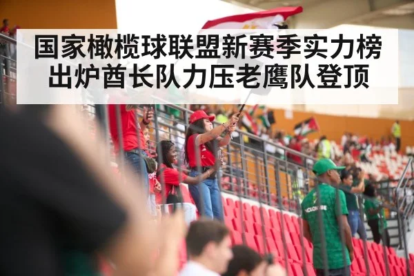 国家橄榄球联盟新赛季实力榜出炉酋长队力压老鹰队登顶