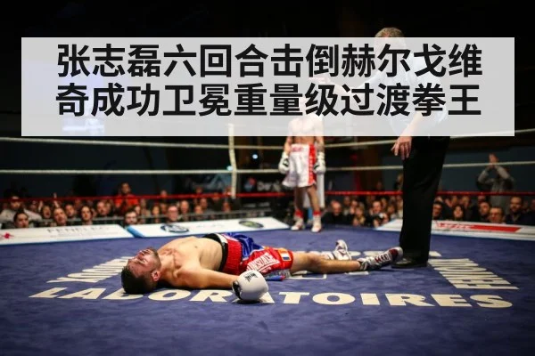 张志磊六回合击倒赫尔戈维奇成功卫冕重量级过渡拳王